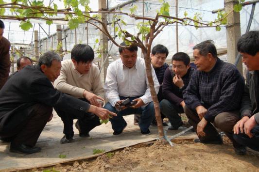江心洲街道举办葡萄种植知识培训2.jpg