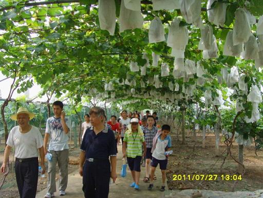 江心洲街道开展科普实践活动1.jpg