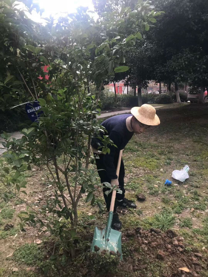 植树8.jpg